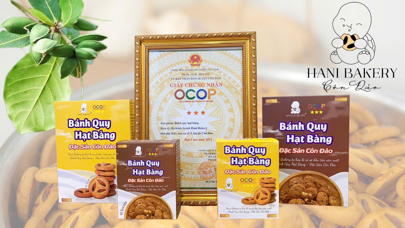 Bánh Quy Hạt Bàng Socola
